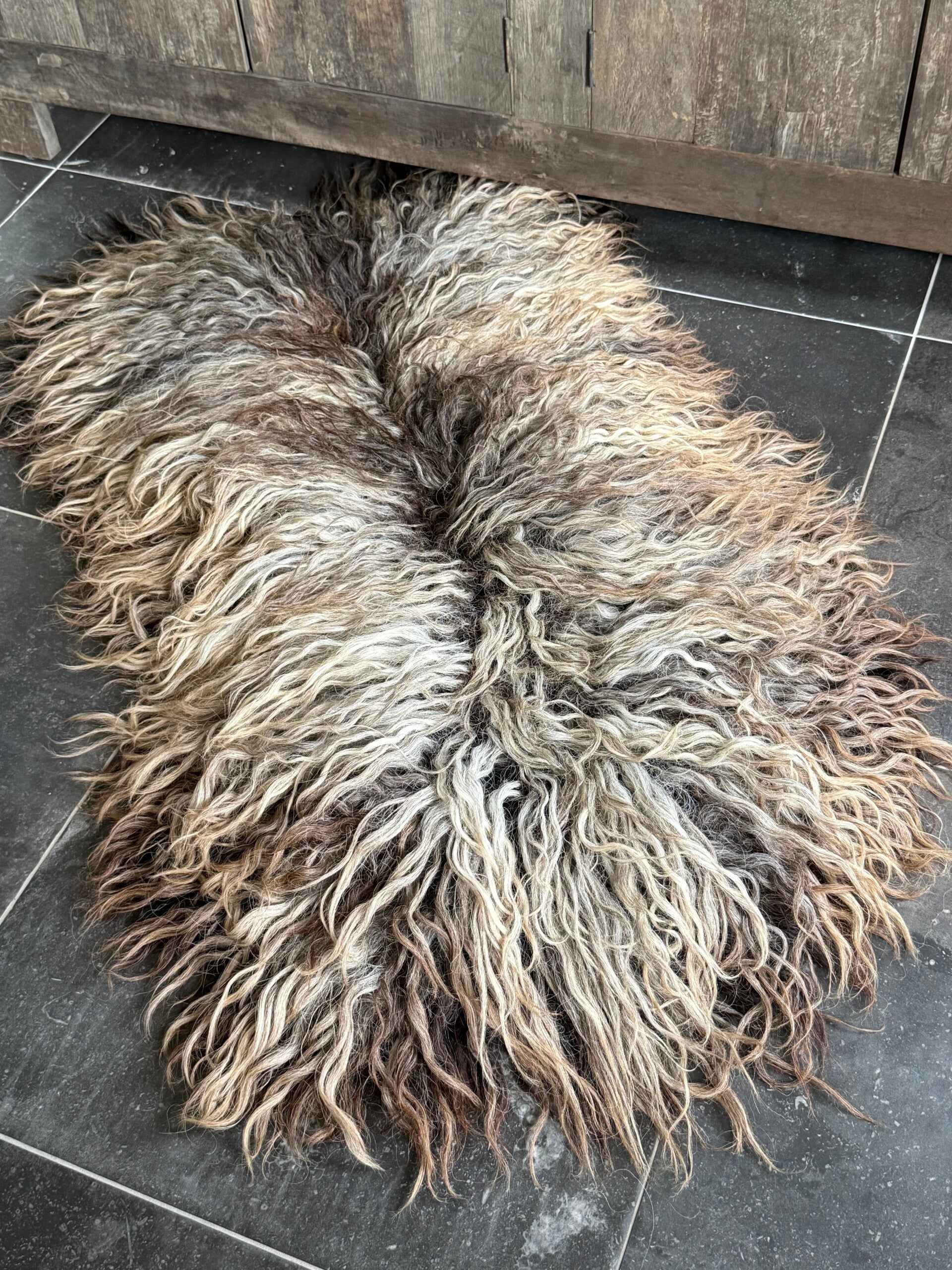 Prachtige vacht, gemêleerde kleur en lange lokken