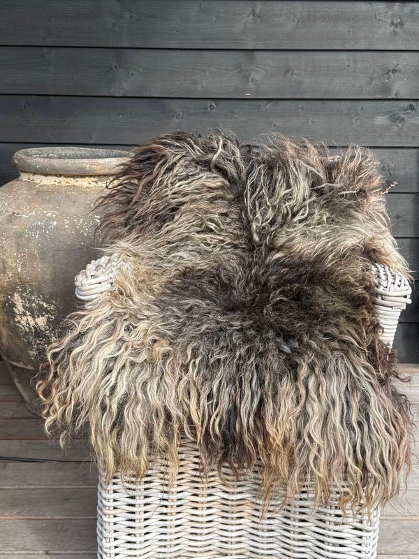 Gemêleerde Rackavacht