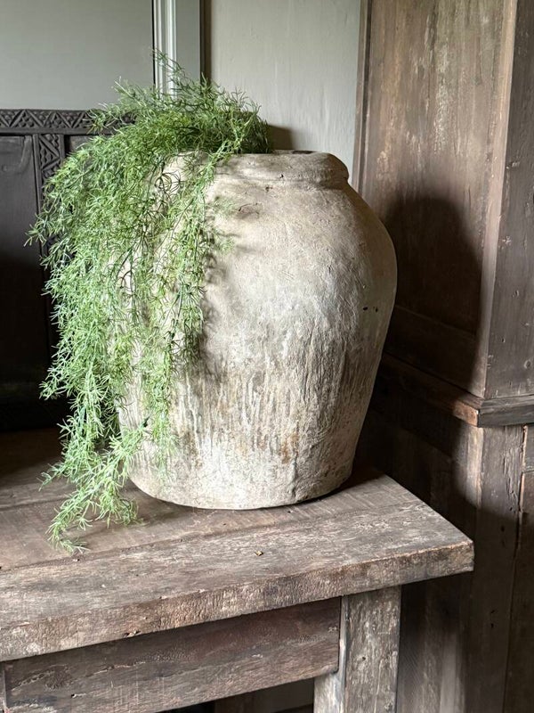 Asparagus groen