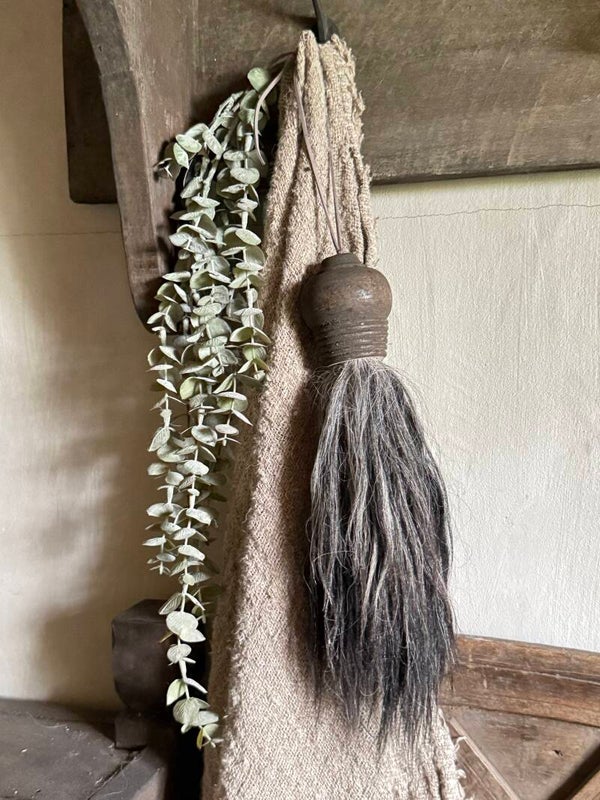 Eucalyptus hanger  M