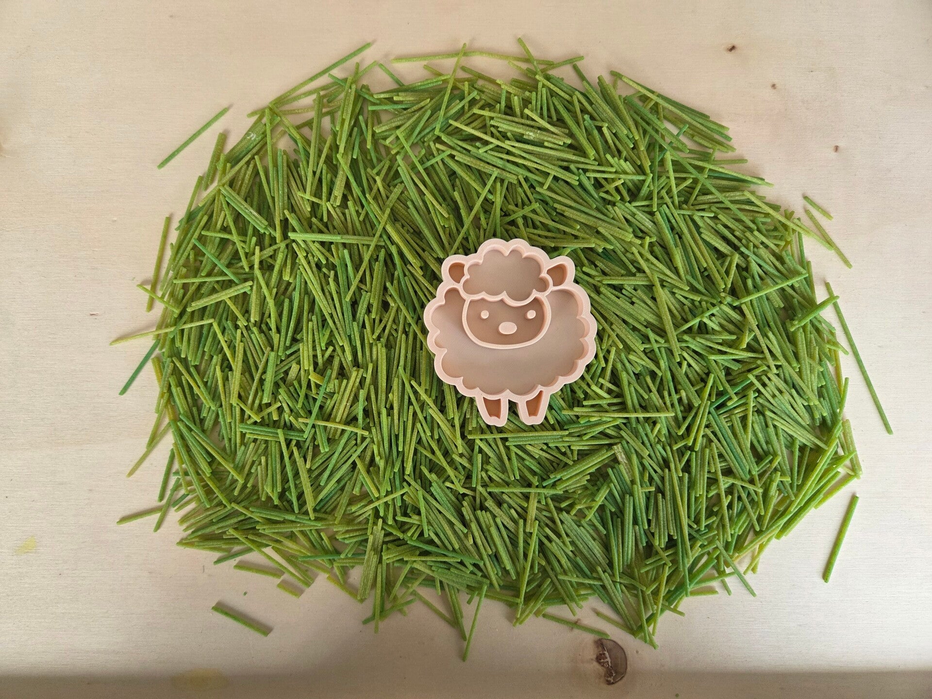 PLA vulvorm - schaap