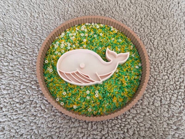 PLA vulvorm - walvis