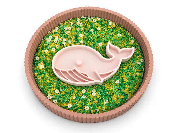 Vulvorm - Walvis