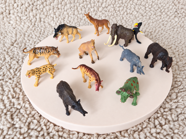 Wilde dieren