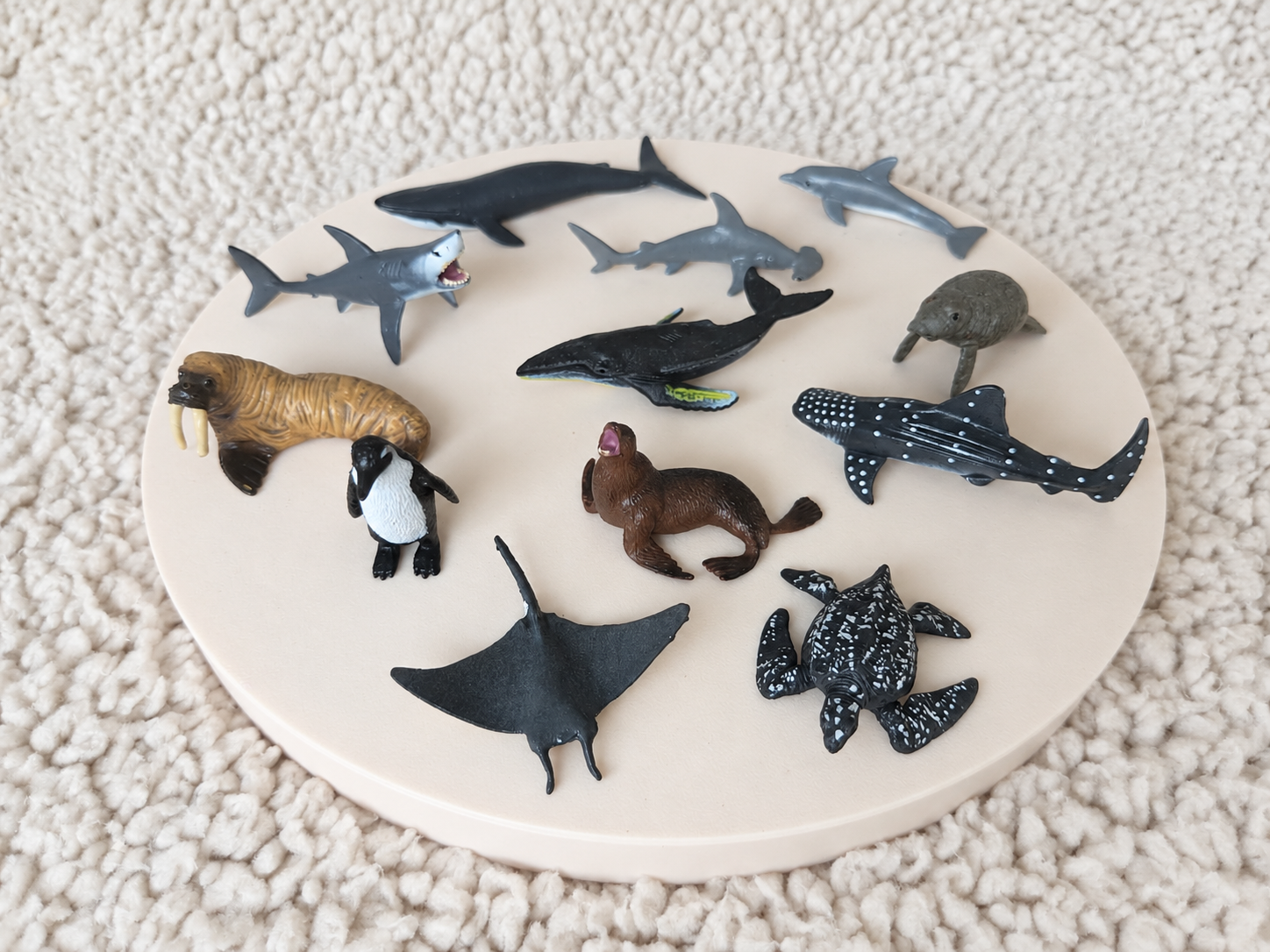 Zeedieren