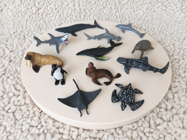 Zeedieren