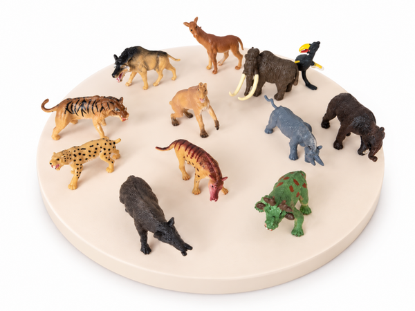 Wilde dieren