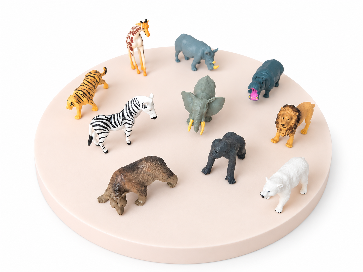 Wilde dieren verzameling