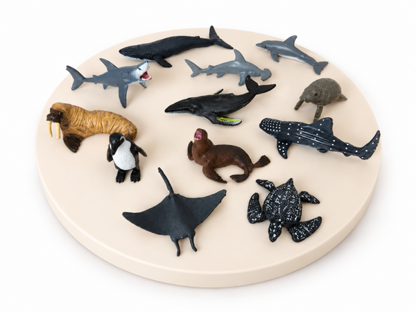 Zeedieren