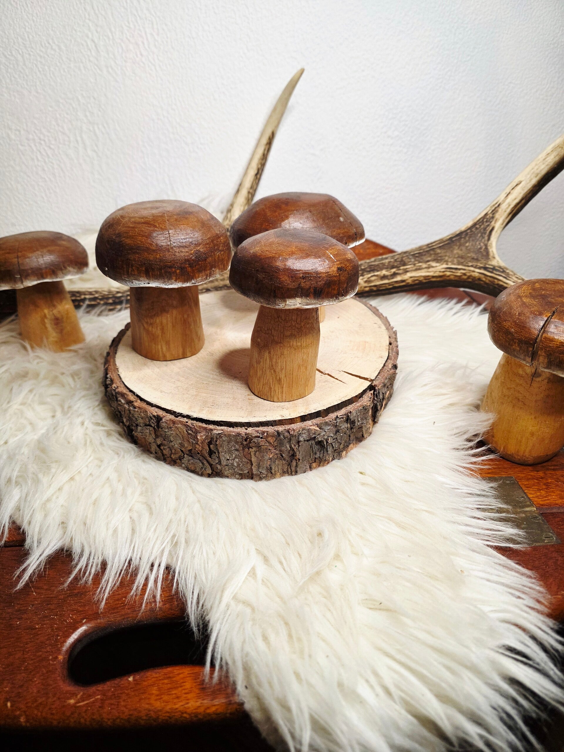 mittlere Holzpilze "Steinpilz"