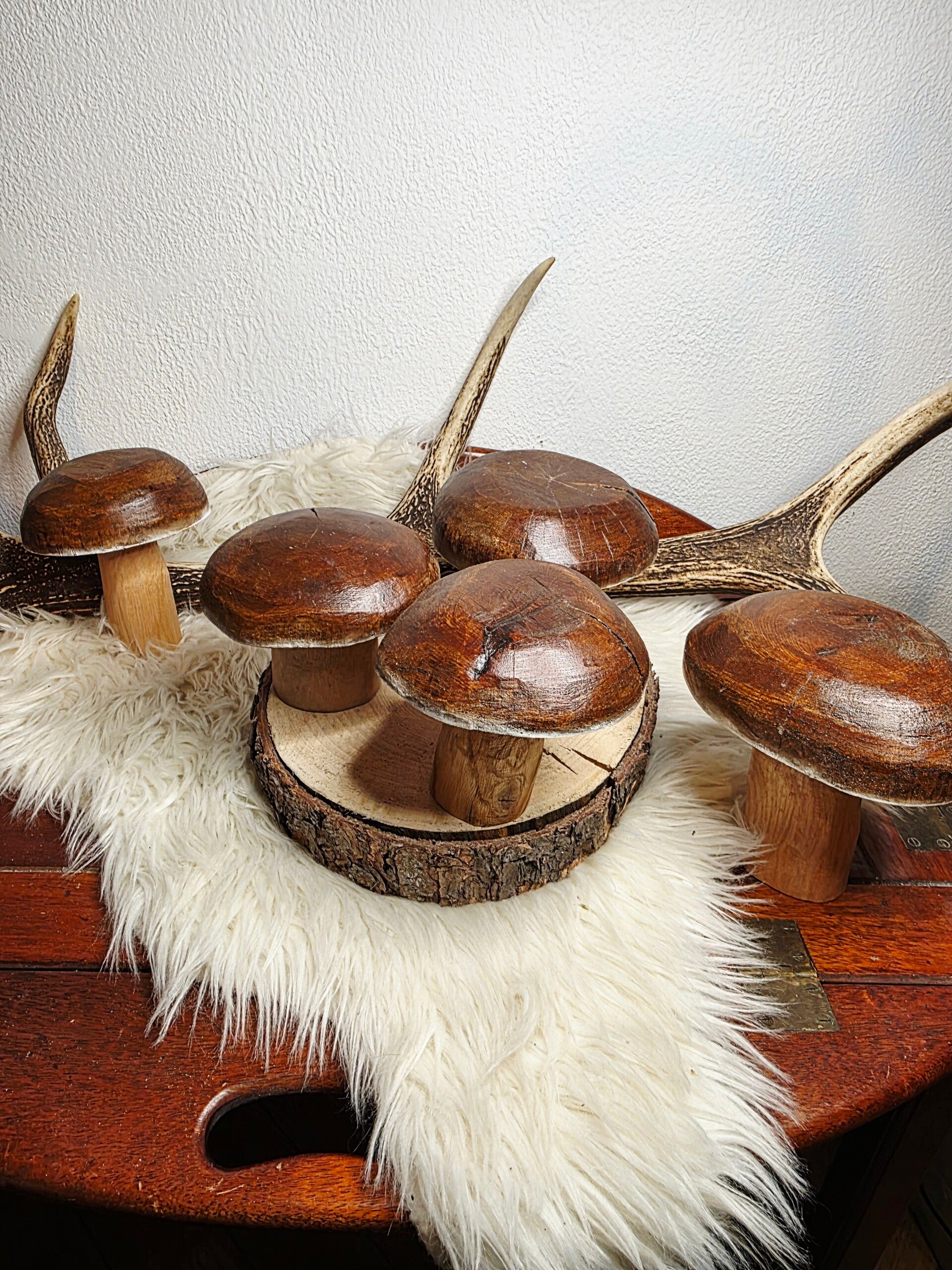 große Holzpilze "Steinpilz"