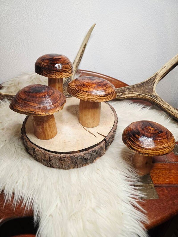 mittlere Holzpilze "natur"