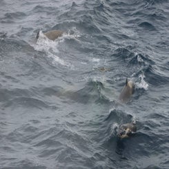 img_1235.jpg