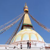 IMG_8621.jpg