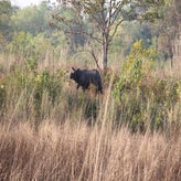 IMG_8791.jpg