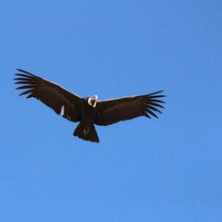 img_5910-standard.jpg