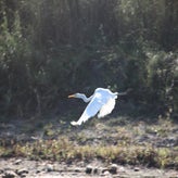 IMG_9149.jpg