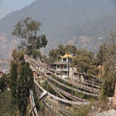 IMG_8605.jpg