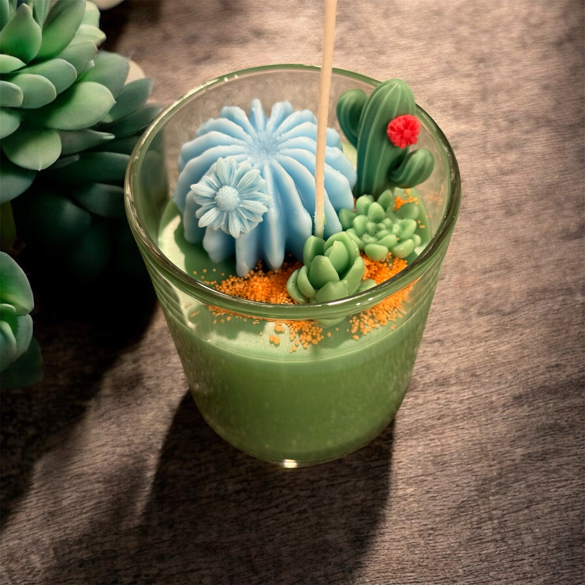 Cactus succulent candle large