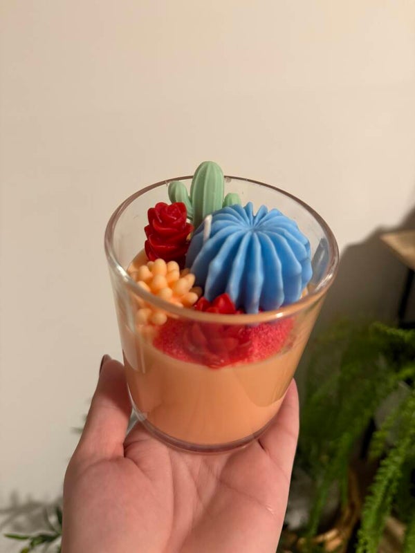 Cactus succulent candles