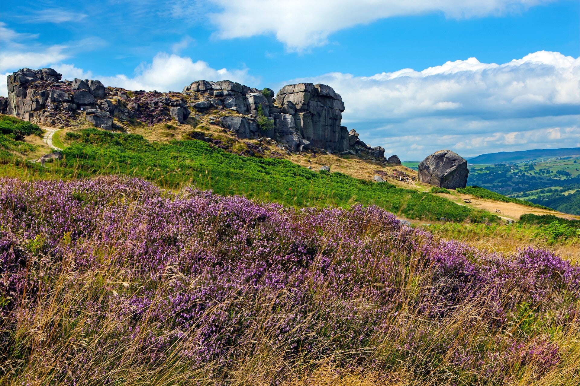 Purple heather-covered hillside and rocky outcrops at Cow and Calf Rocks in Ilkley, with a green valley and blue sky in the background.