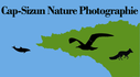 Nature du Cap-Sizun