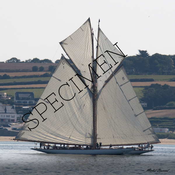 Quand Mariquita rencontre Moonbeam IV