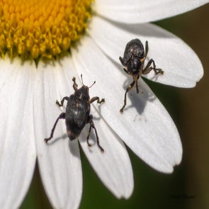 prise-de-vue-sans-titre-0002-2-standard.jpg