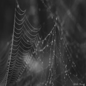 prise-de-vue-sans-titre-0344-standard-idny6k.jpg