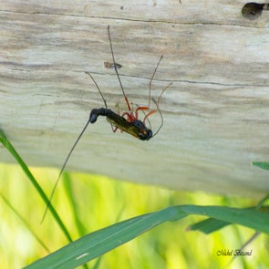 prise-de-vue-sans-titre-0404-standard.jpg