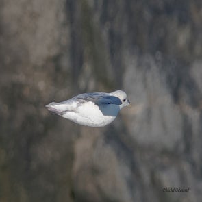 prise-de-vue-sans-titre-0711-standard.jpg
