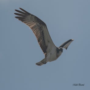 prise-de-vue-sans-titre-0932-standard.jpg
