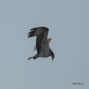 prise-de-vue-sans-titre-0998-standard.jpg