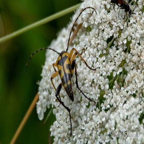 prise-de-vue-sans-titre-1179-standard.jpg