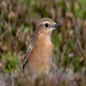 prise-de-vue-sans-titre-1267-standard.jpg