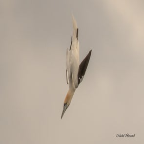 prise-de-vue-sans-titre-1373-standard.jpg