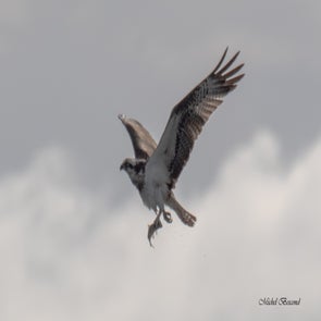 prise-de-vue-sans-titre-1444-standard.jpg
