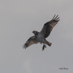 prise-de-vue-sans-titre-1447-standard.jpg