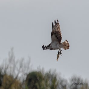 prise-de-vue-sans-titre-1454-standard.jpg