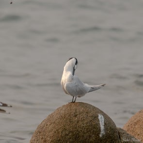prise-de-vue-sans-titre-1737-standard.jpg