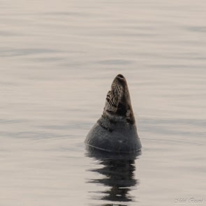 prise-de-vue-sans-titre-2129-standard.jpg
