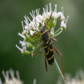 prise-de-vue-sans-titre-2346-standard.jpg