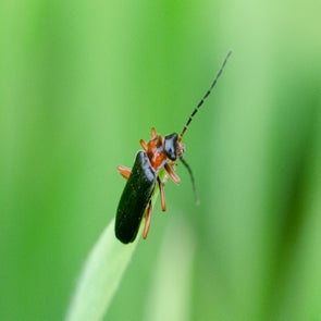 prise-de-vue-sans-titre-2351-standard.jpg