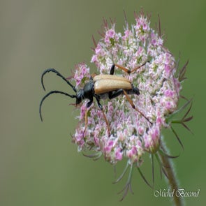 prise-de-vue-sans-titre-2433-standard.jpg