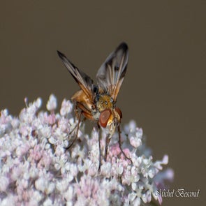 prise-de-vue-sans-titre-2478-standard.jpg