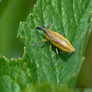 prise-de-vue-sans-titre-2731-standard.jpg