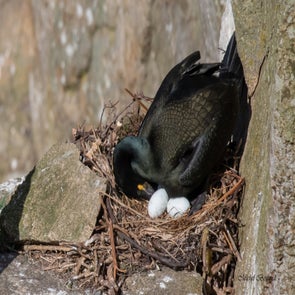 prise-de-vue-sans-titre-2942-standard.jpg
