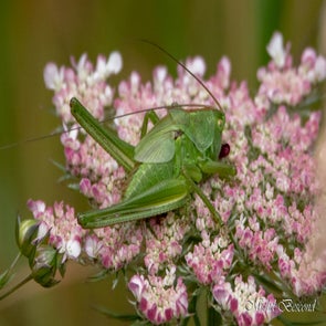 prise-de-vue-sans-titre-3482-standard.jpg