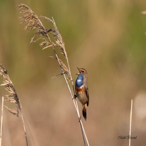 prise-de-vue-sans-titre-3523-standard.jpg