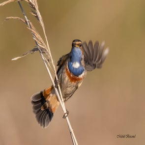prise-de-vue-sans-titre-3530-standard.jpg